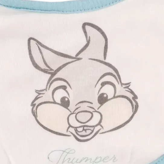 Disney Kuolalappu 50 - 62 cm close up preview