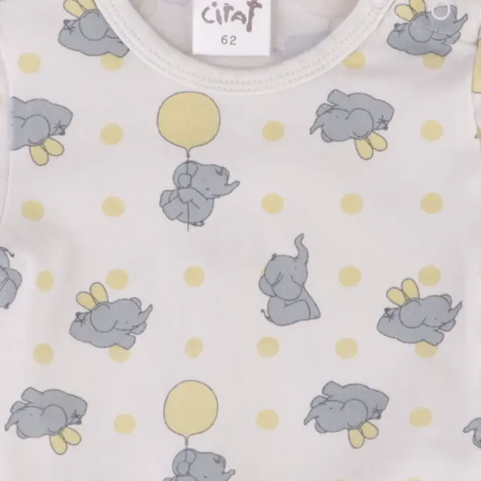 Ciraf Body 62 cm close up preview