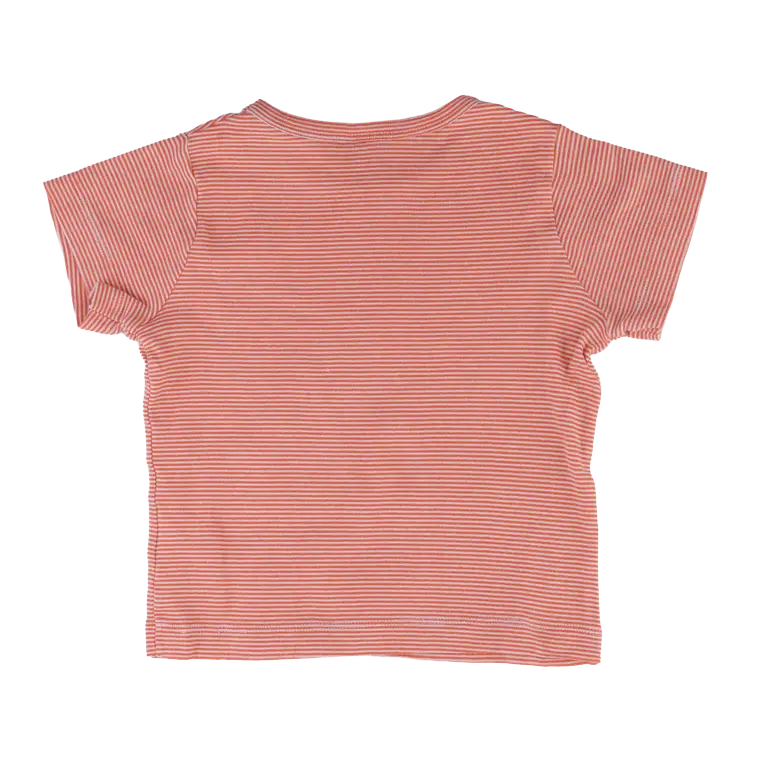 Petit Bateau T-paita 92 - 98 cm back preview