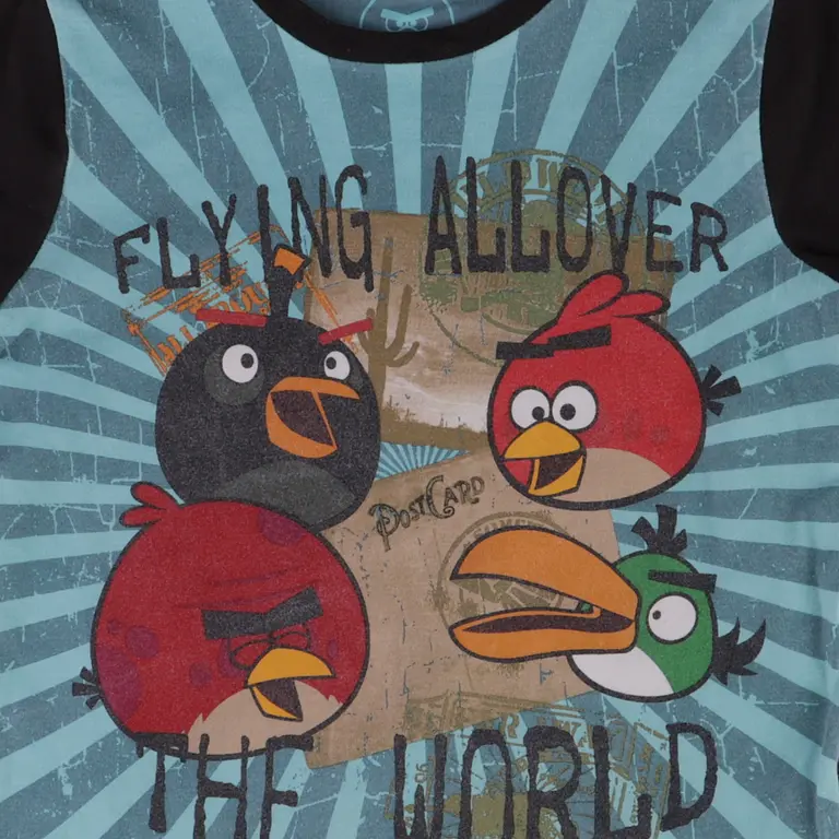 Angry Birds Pitkähihainen t-paita 104 cm close up preview