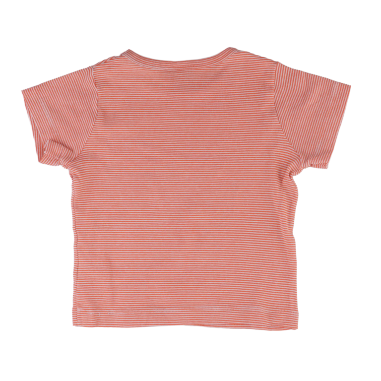 Petit Bateau T-paita 92 - 98 cm back preview