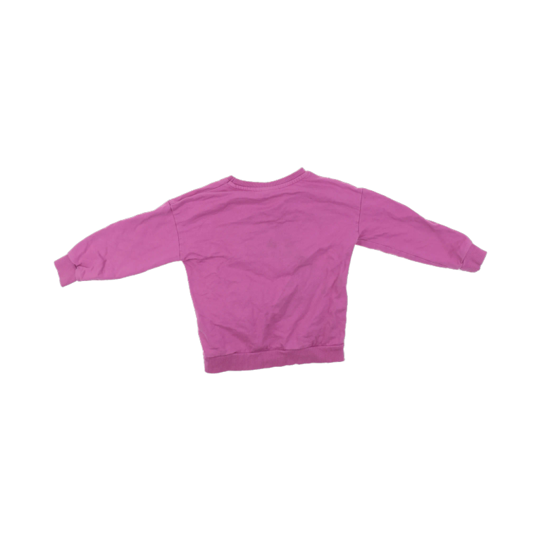 SkyBrands Džemperis 100 cm back preview