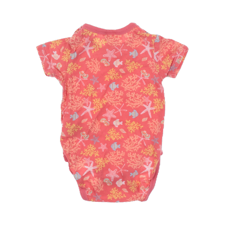 Ciraf Body 56 cm back preview