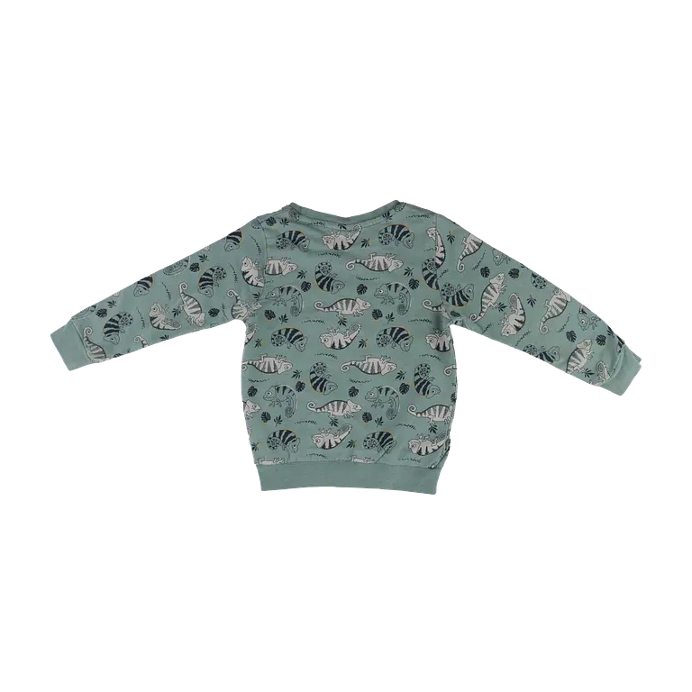 Guppy Collegepaita 98 cm back preview